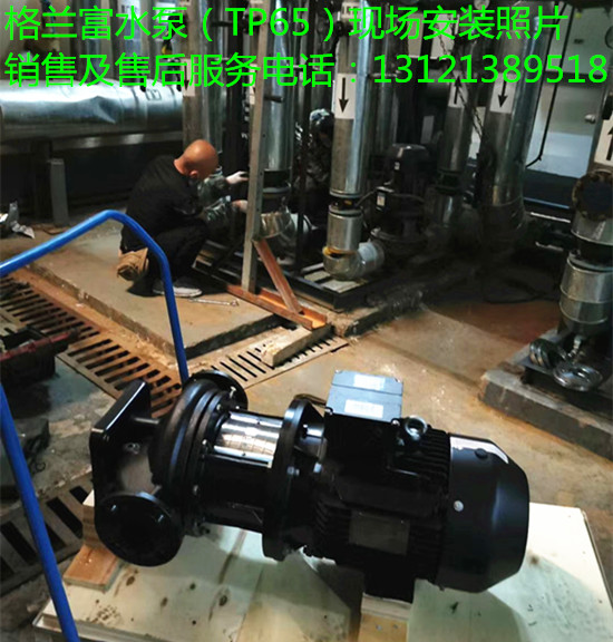 格兰富水泵（TP65）现场安装，格兰富水泵TP65系列